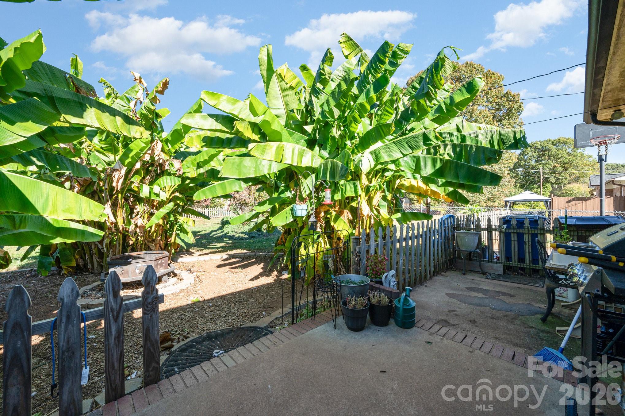 2415 Heavner Road Lincolnton, NC 28092 - Photo 16 of 21 a backyard with plants and outdoor seating