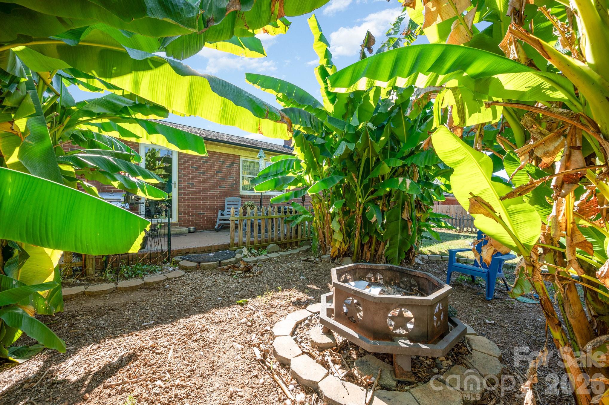 2415 Heavner Road Lincolnton, NC 28092 - Photo 18 of 21 a view of a backyard with plants and a garden