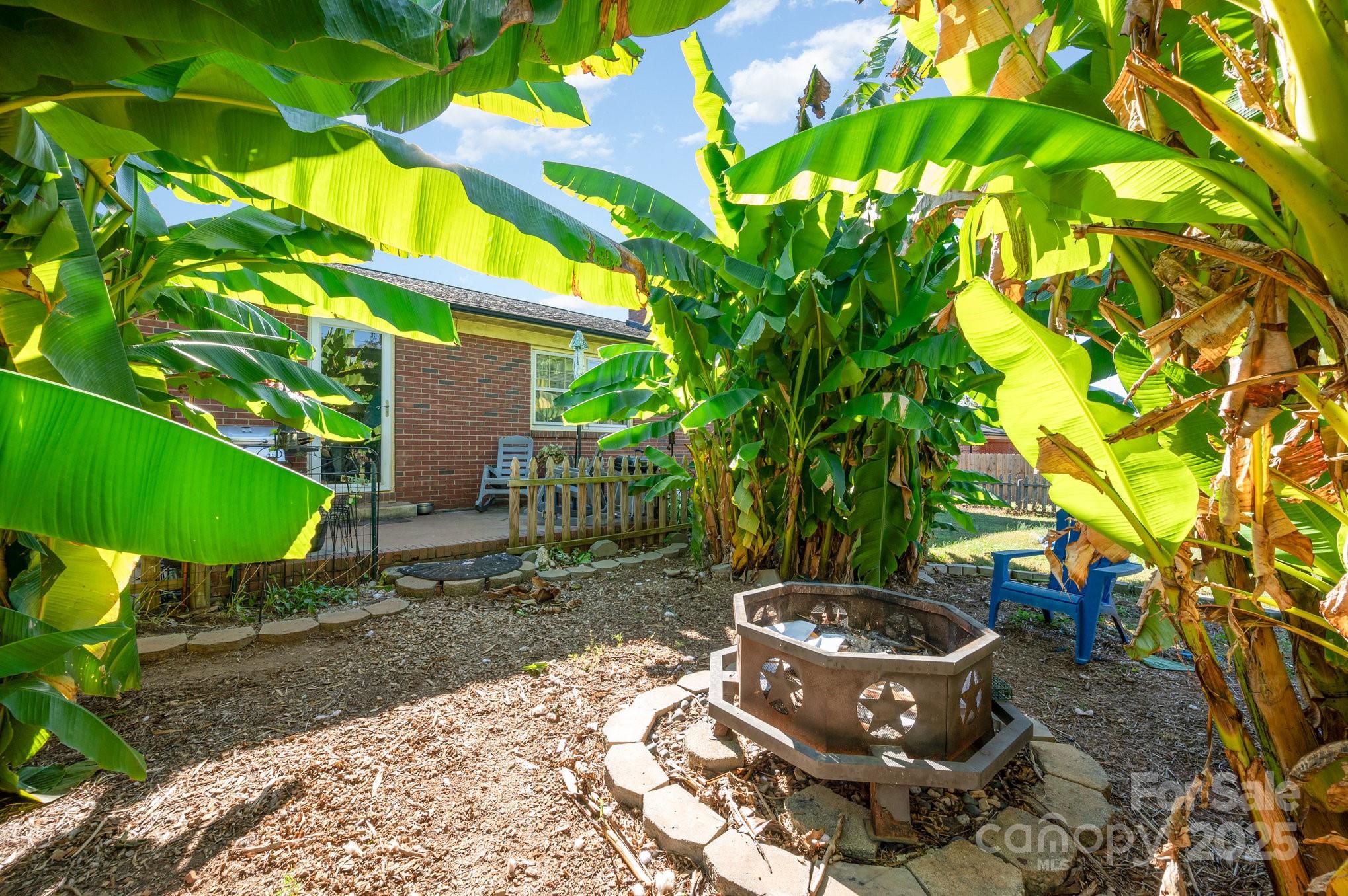 2415 Heavner Road Lincolnton, NC 28092 - Photo 18 of 21 a view of a backyard with plants and a garden