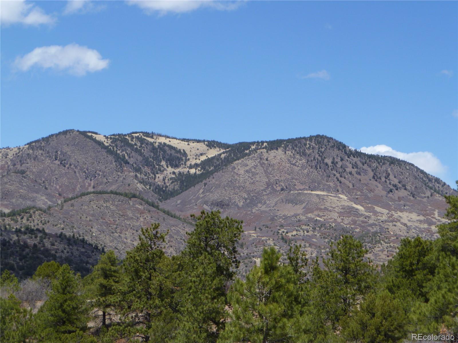 a view of a dry yard with mountains in the background