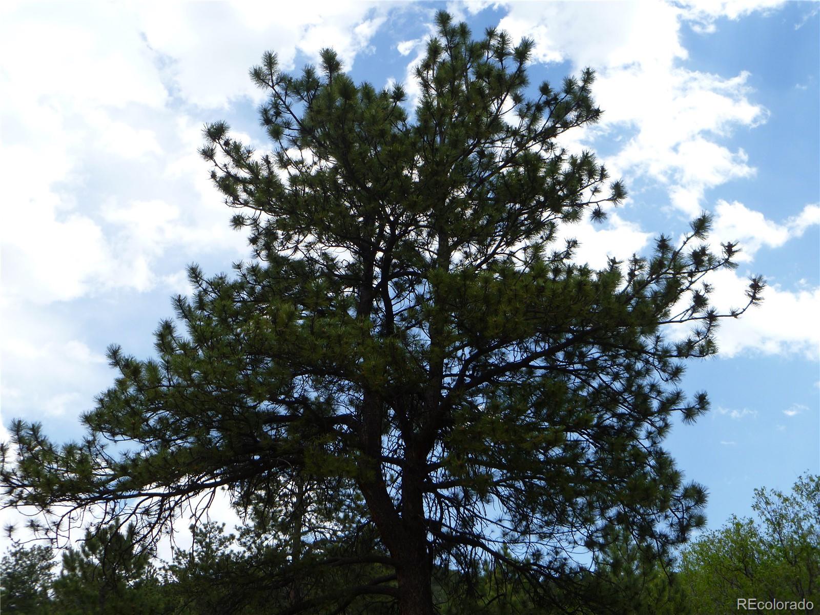 Vista View Road Canon City, CO 81212 - Photo 11 of 25