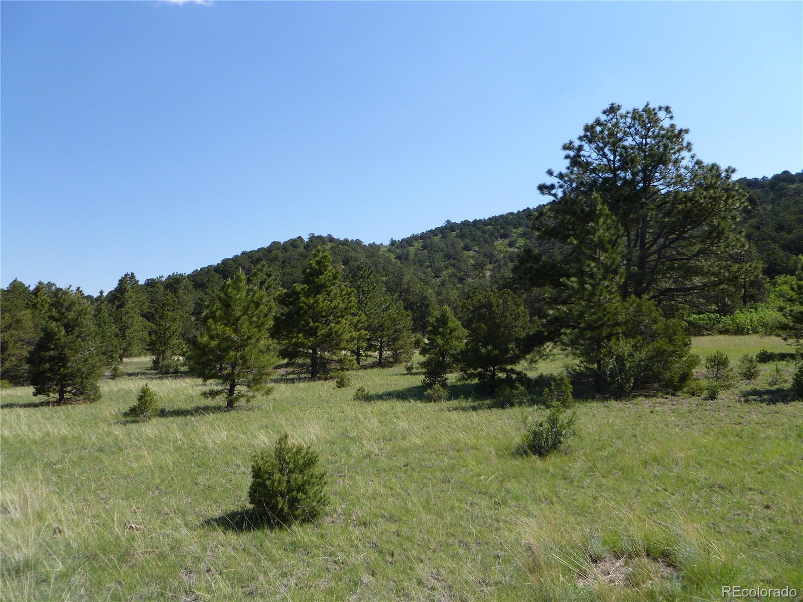 Vista View Road Canon City, CO 81212 - Photo 14 of 25 a view of a field with trees in the background