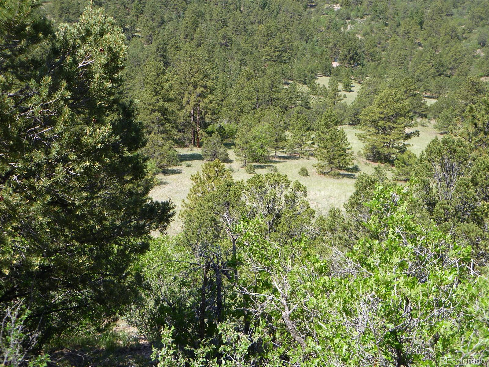 Vista View Road Canon City, CO 81212 - Photo 19 of 25 a view of a yard