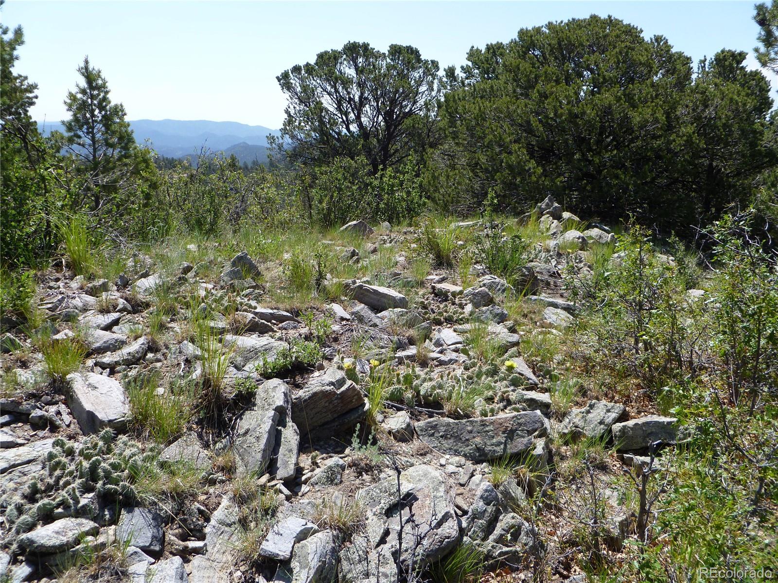 Vista View Road Canon City, CO 81212 - Photo 21 of 25