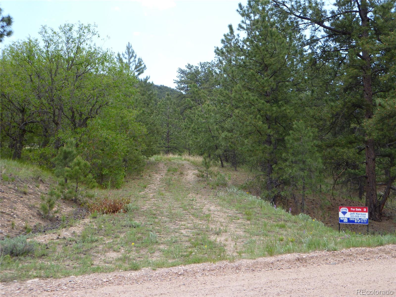 Vista View Road Canon City, CO 81212 - Photo 23 of 25 a view of a forest