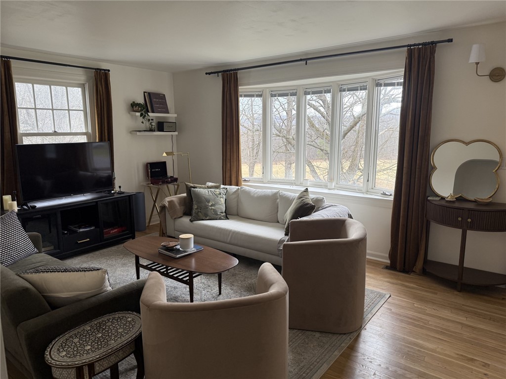 58 Mill Street Dryden, NY 13053 - Photo 5 of 22