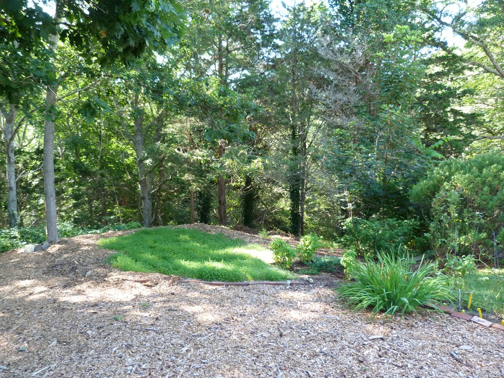 15 Hidden Valley Road Orleans, MA 02653 - Photo 6 of 30