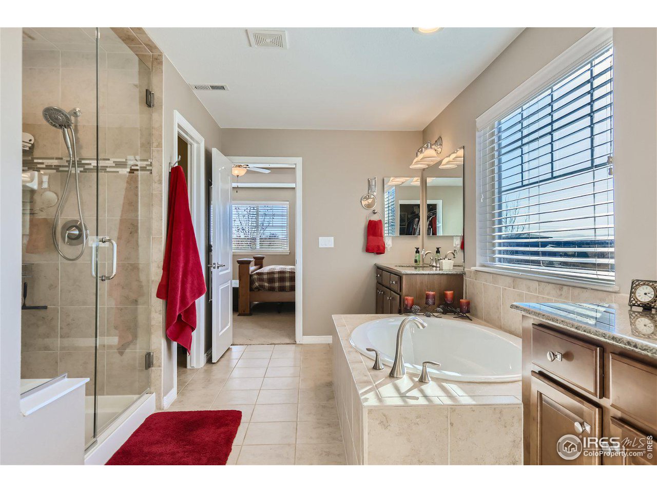 3381 Birch Road Longmont, CO 80504 - Photo 19 of 33 Primary Bathy