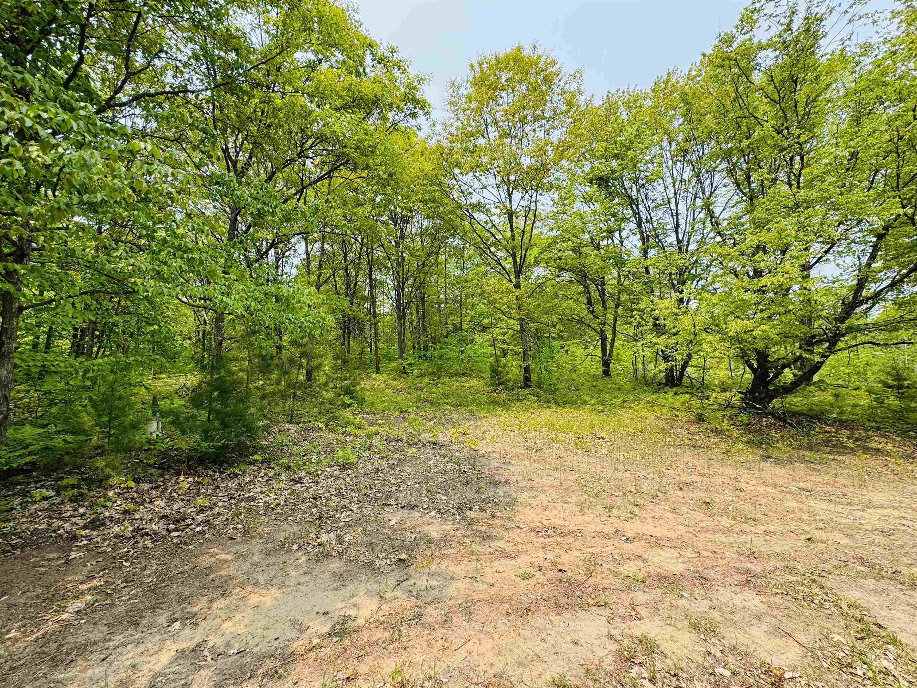 11711 22 3/4 Road Manton, MI 49663 - Photo 17 of 42