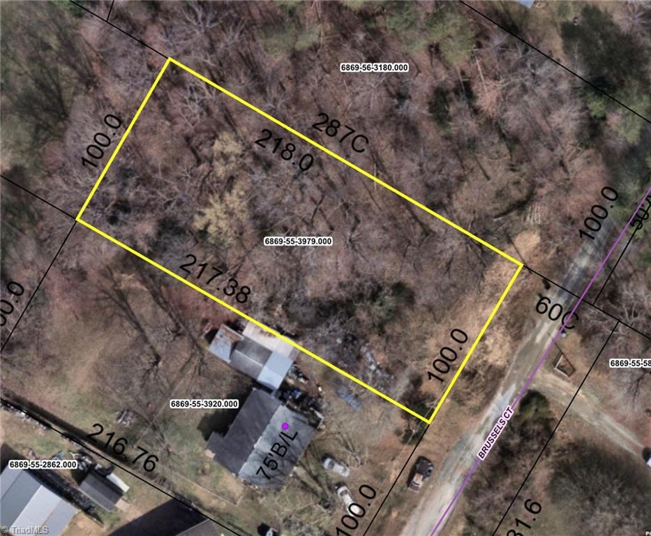 0 Grubbs Road Walkertown, NC 27051 - Photo 3 of 3