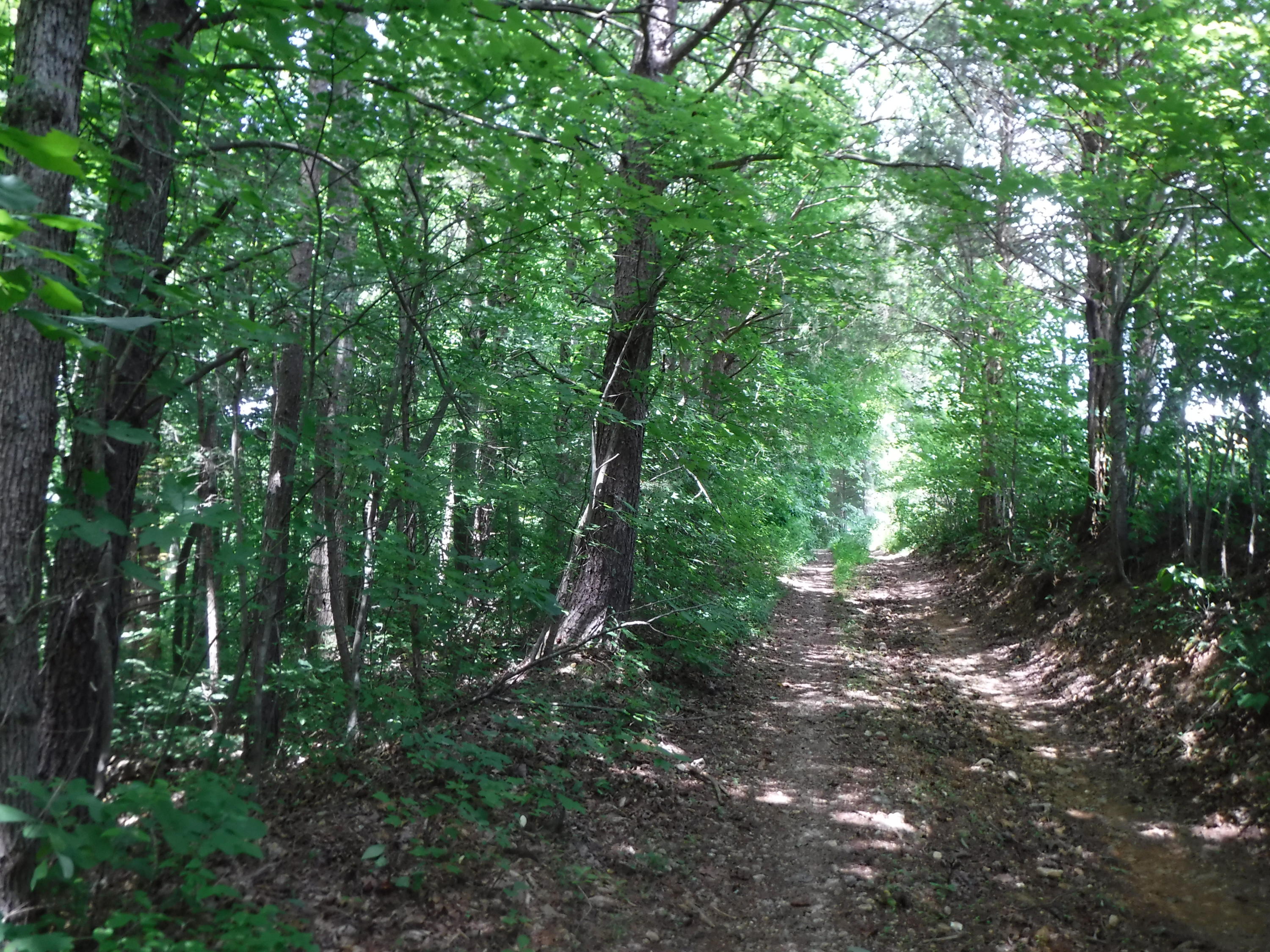 Jim Short Road Whitleyville, TN 38588 - Photo 12 of 19 06192018 042