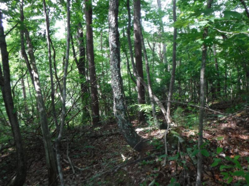 Jim Short Road Whitleyville, TN 38588 - Photo 4 of 19 06052018 021