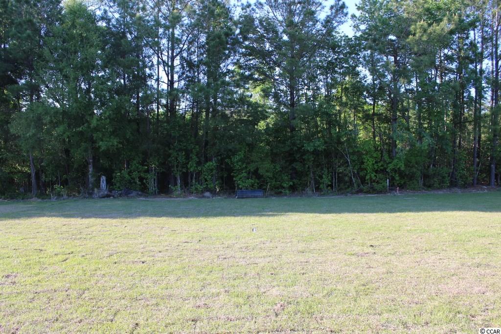 5227 Huston Road Conway, SC 29526 - Photo 19 of 30 Gallery Image 19