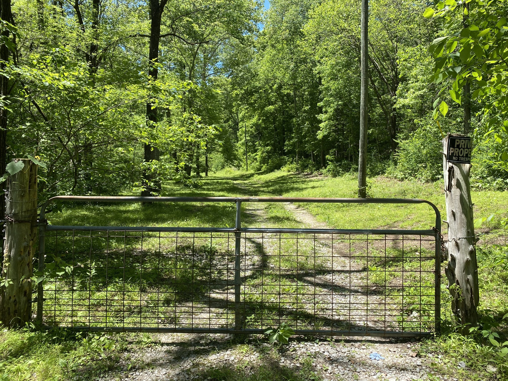 0 Little Pond Creek Road Pegram, TN 37143 - Photo 2 of 14 a garden view with a lake