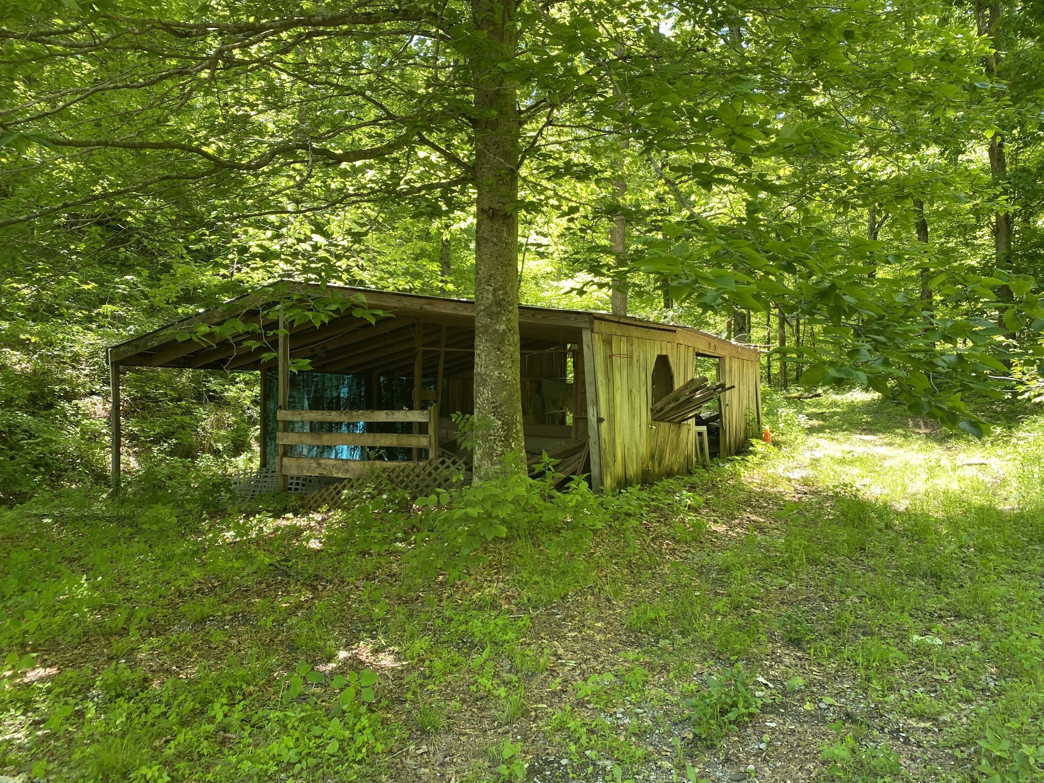0 Little Pond Creek Road Pegram, TN 37143 - Photo 4 of 14 a view of a back yard of the house
