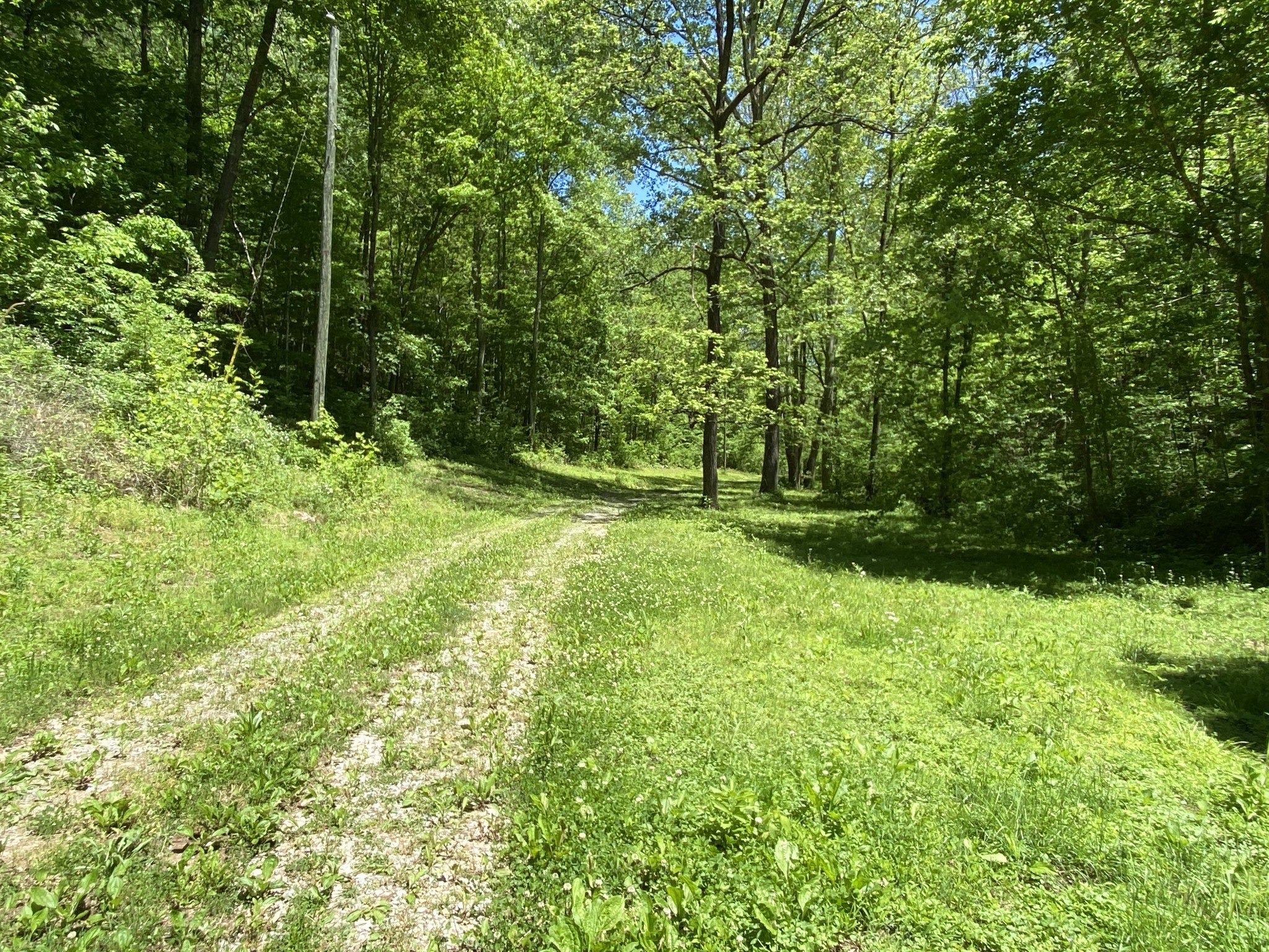 0 Little Pond Creek Road Pegram, TN 37143 - Photo 7 of 14 a view of outdoor space and yard