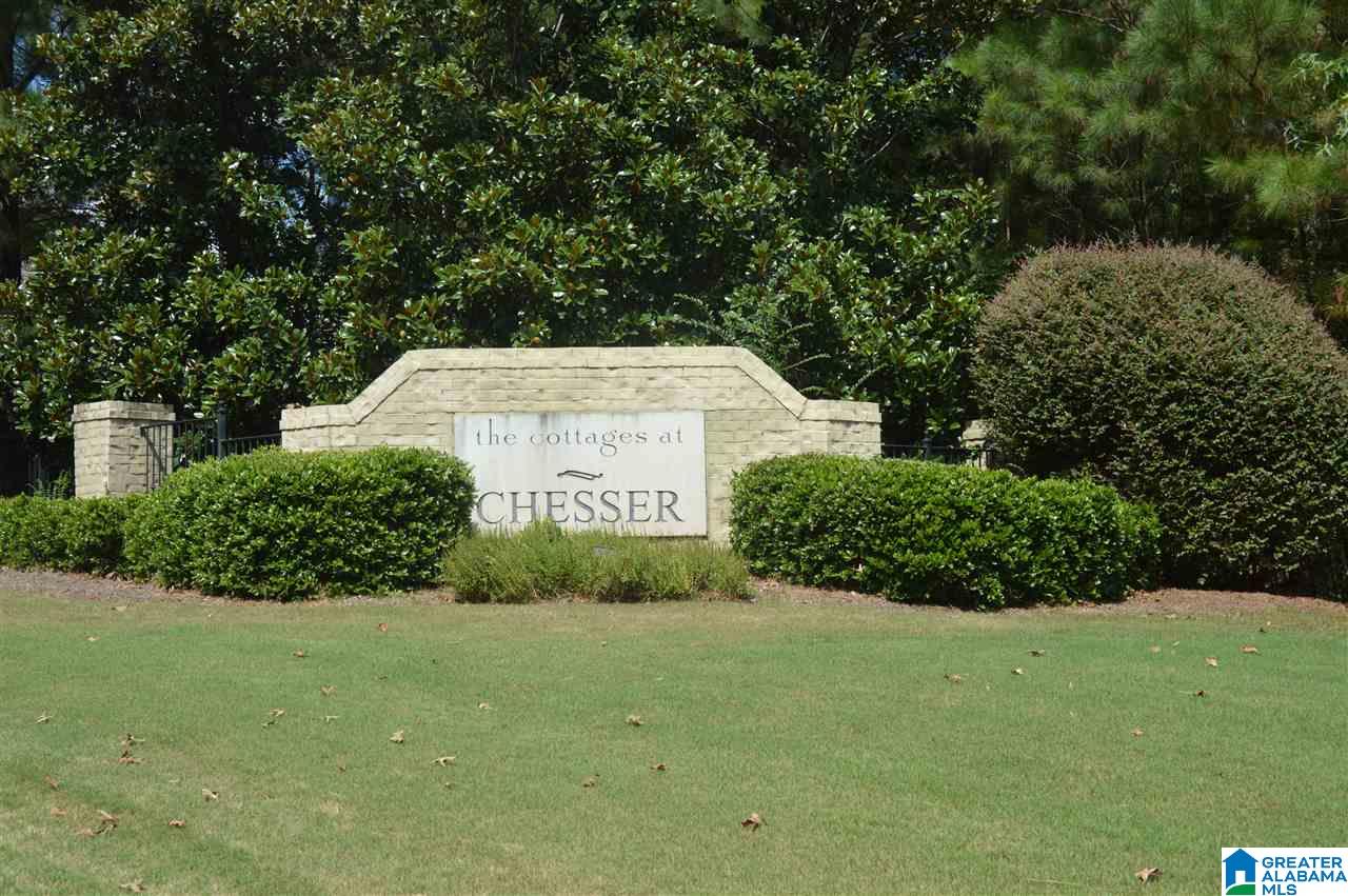 113 Chesser Lane Chelsea, AL 35043 - Photo 18 of 18