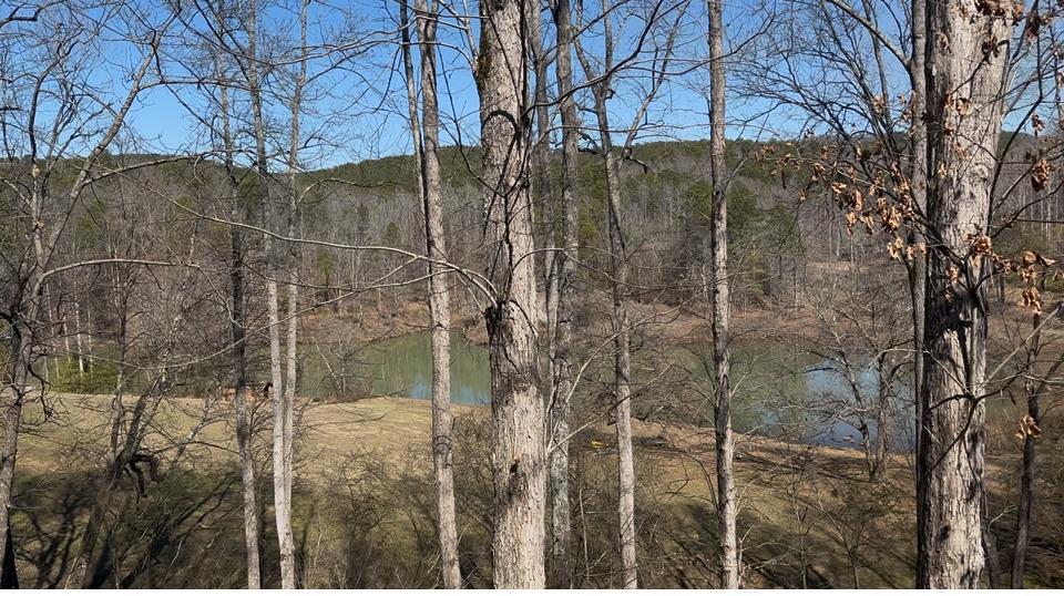 93 Stoney Ledge Road Fairmount, GA 30139 - Photo 2 of 46 Gallery Image 2