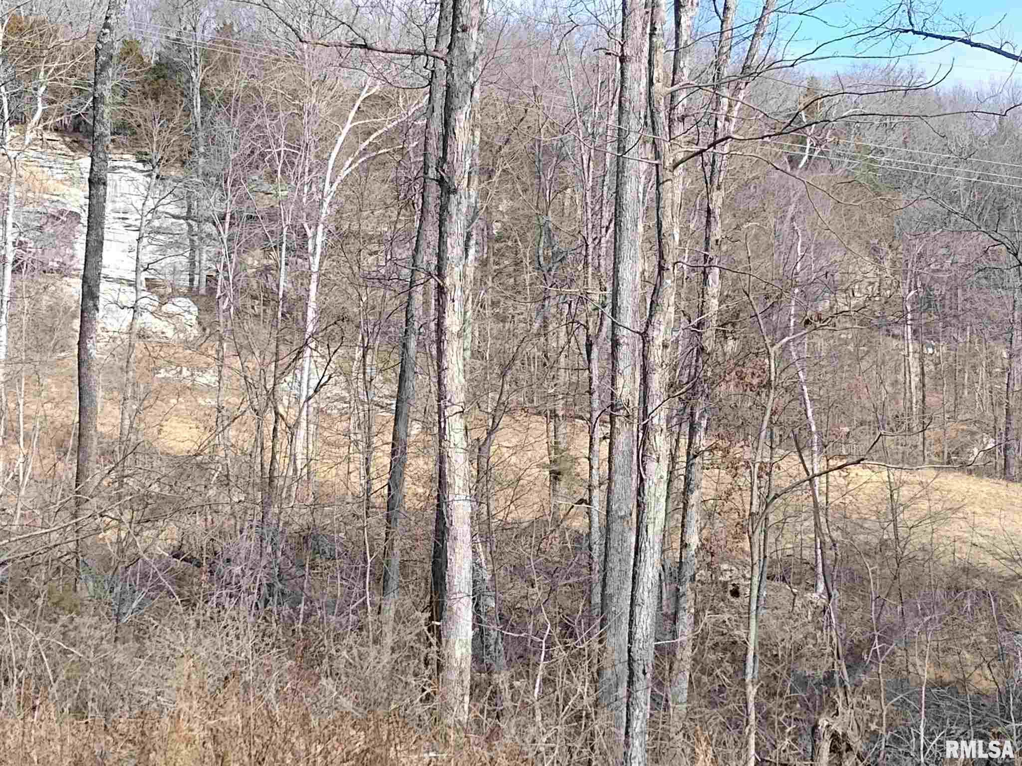 Pleasant Ridge Road Vienna, IL 62995 - Photo 16 of 27