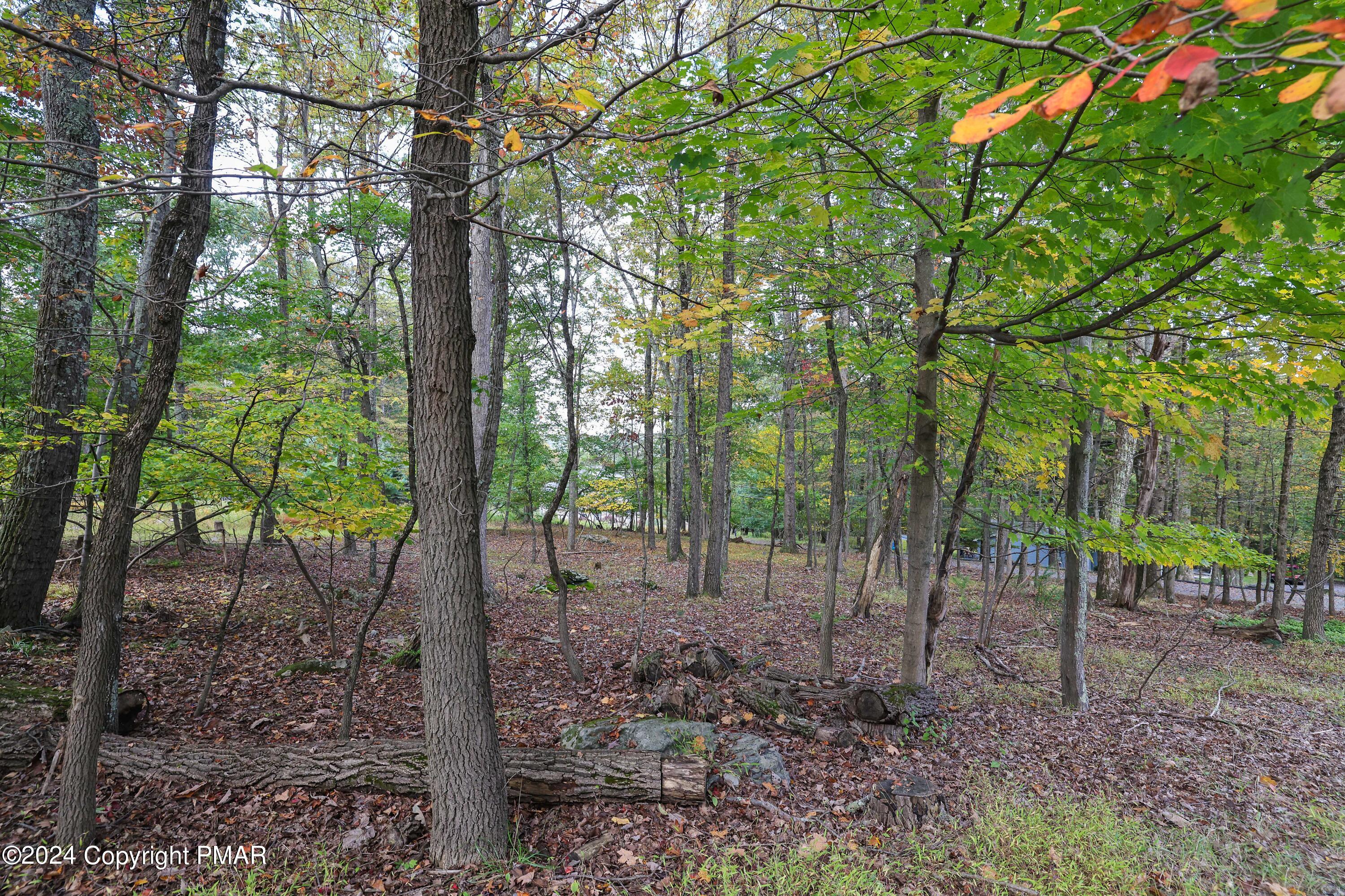 8139 Oak Ridge Lane Cresco, PA 18326 - Photo 33 of 40 RBR50119