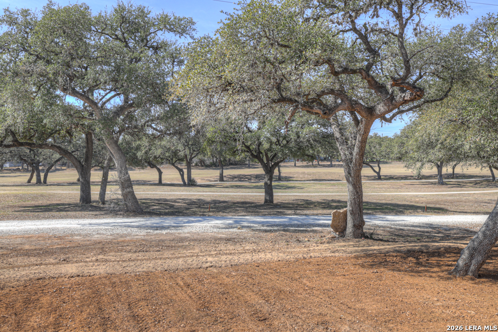 741 Fairway Drive Spring Branch, TX 78070 - Photo 5 of 39