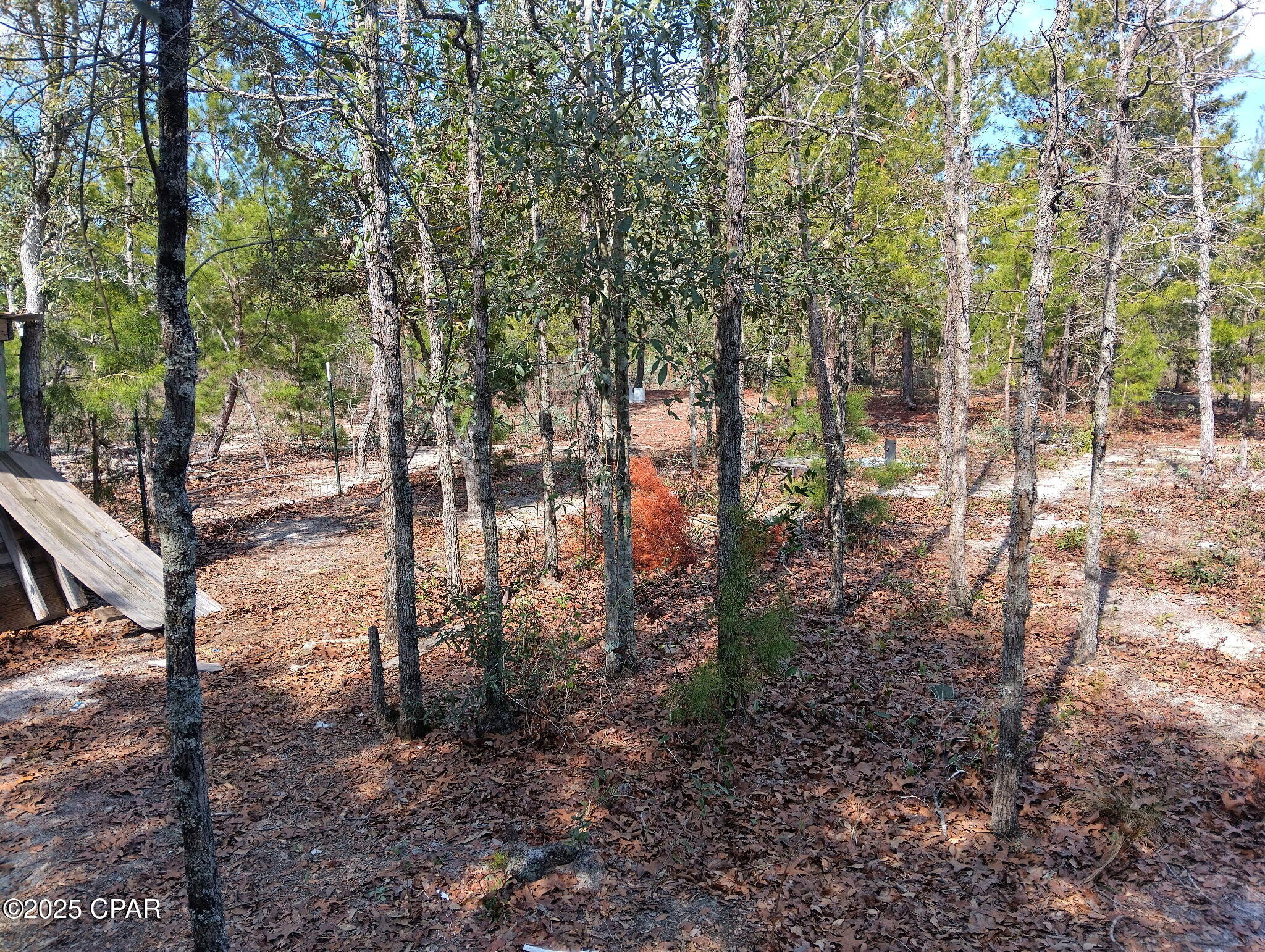 6939 Northwest Porter Grade Road Altha, FL 32421 - Photo 9 of 37