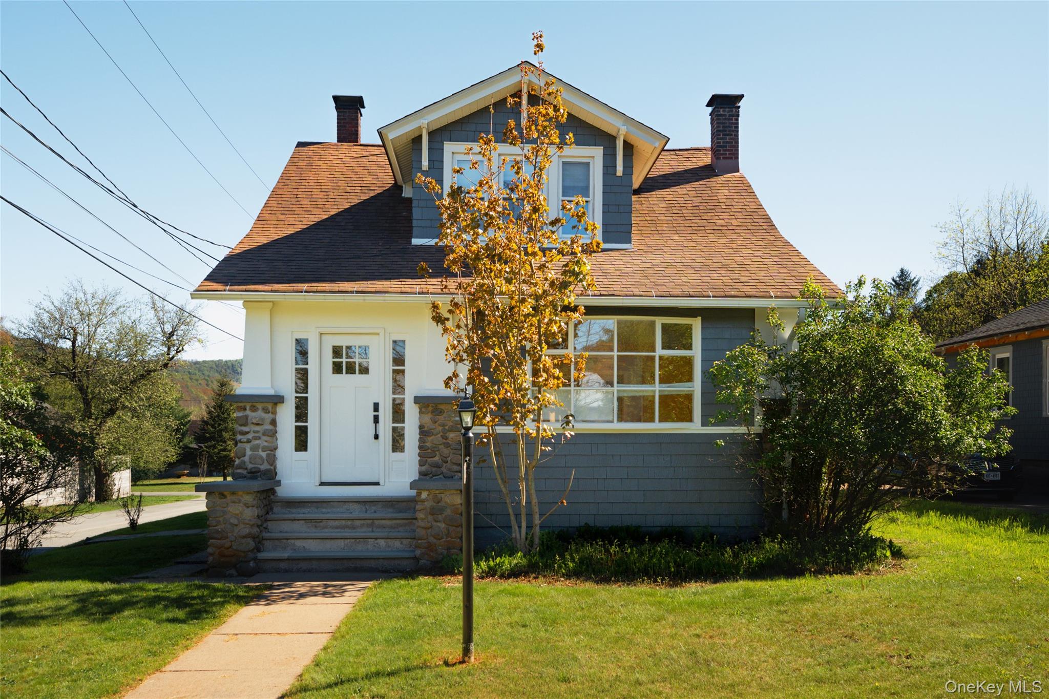 10 Fred Hessinger Road Callicoon Center, NY 12724 - Photo 1 of 28 a front view of a house with a yard