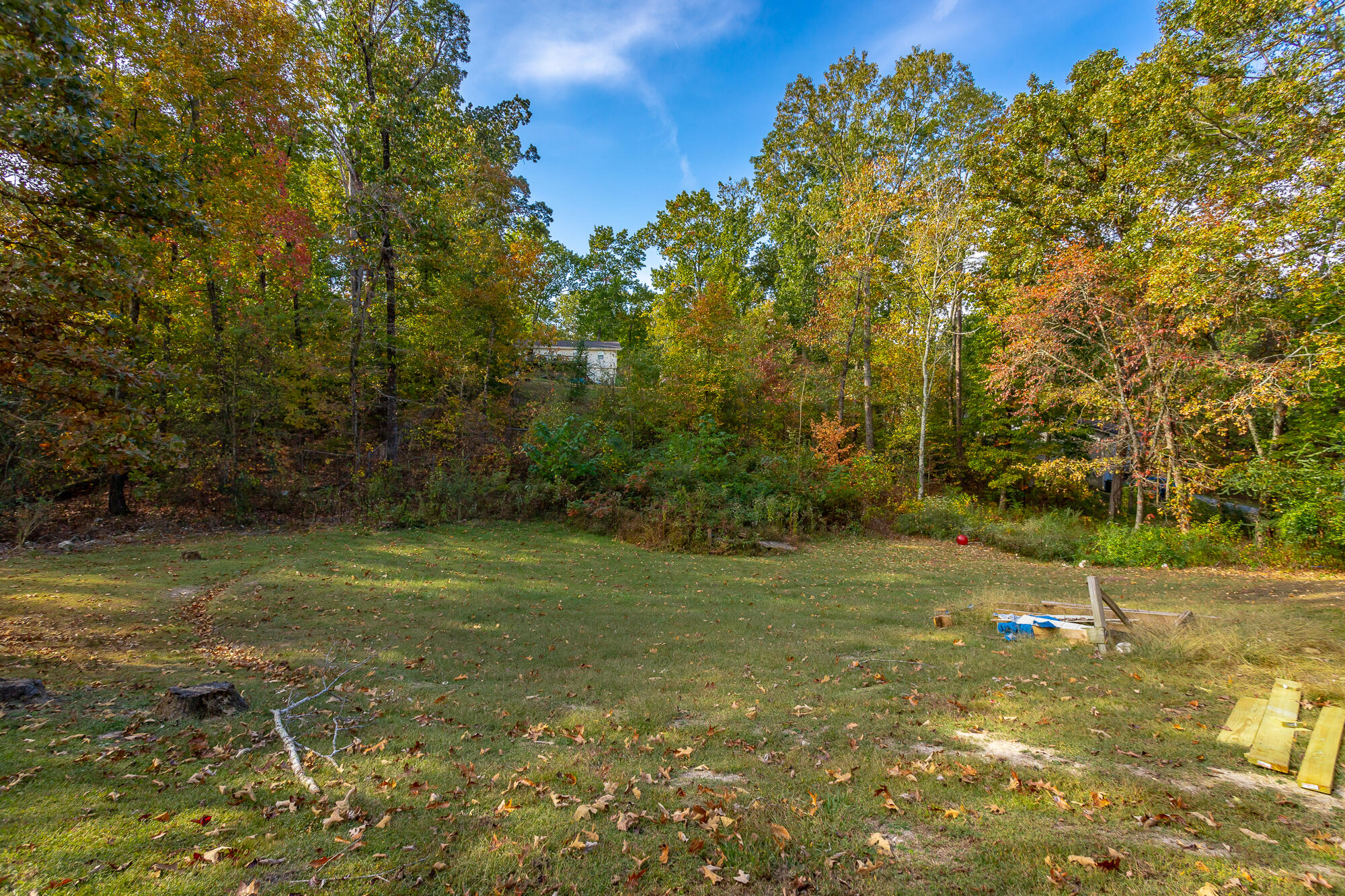 260 Everett Road Ringgold, GA 30736 - Photo 28 of 32 Back yard