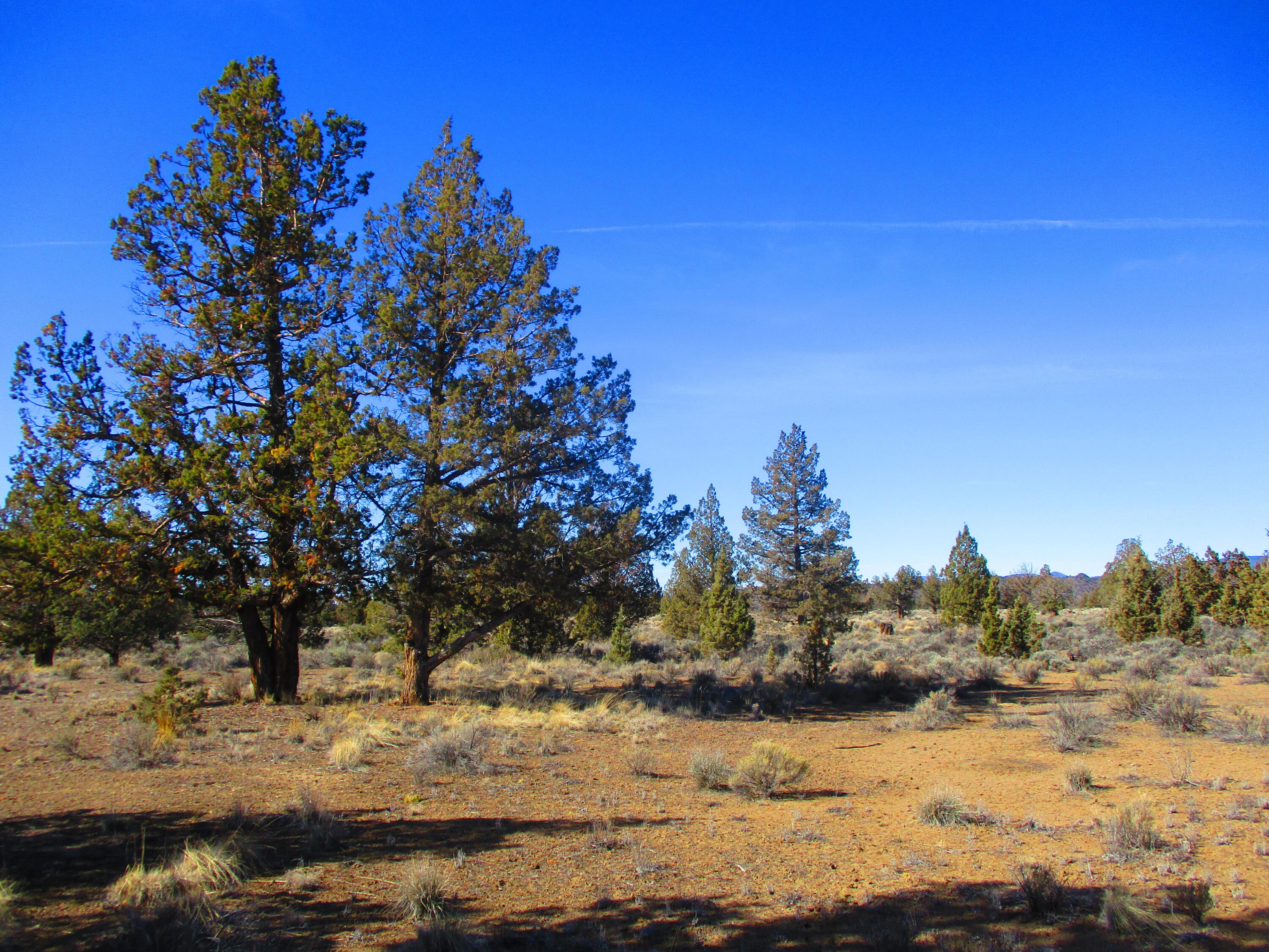 Tl1700 Southeast Mohawk Road Prineville, OR 97754 - Photo 10 of 21 11