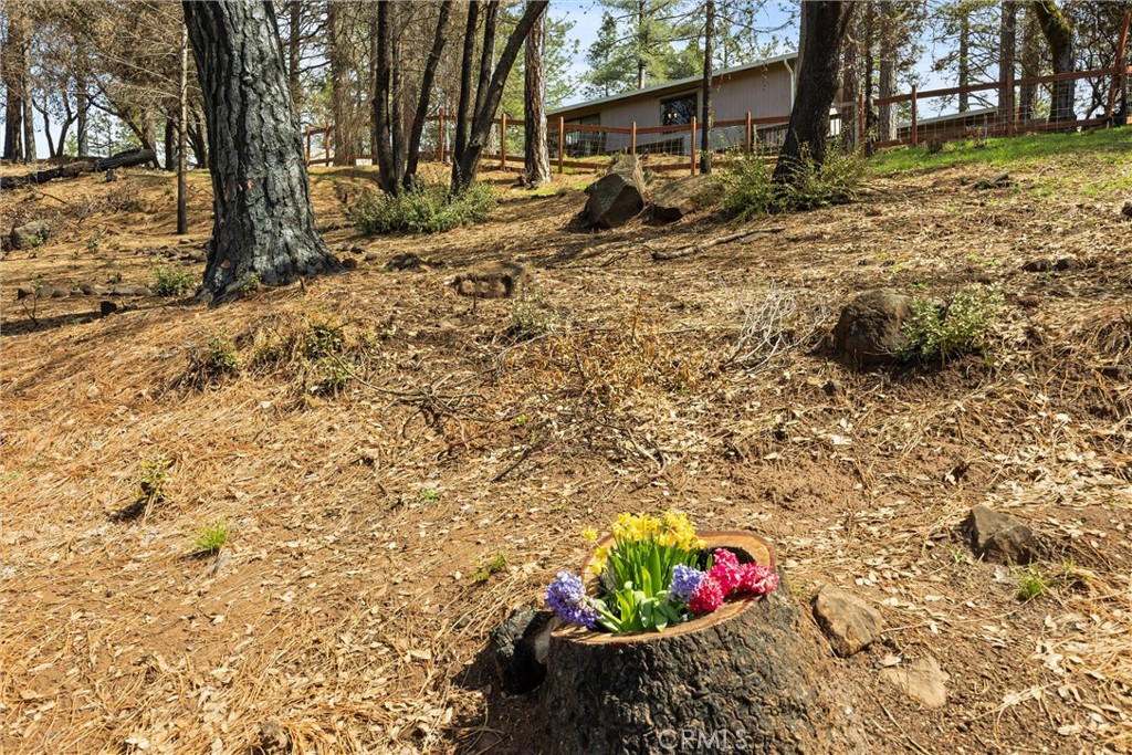 15309 Forest Ranch Way Forest Ranch, CA 95942 - Photo 37 of 40