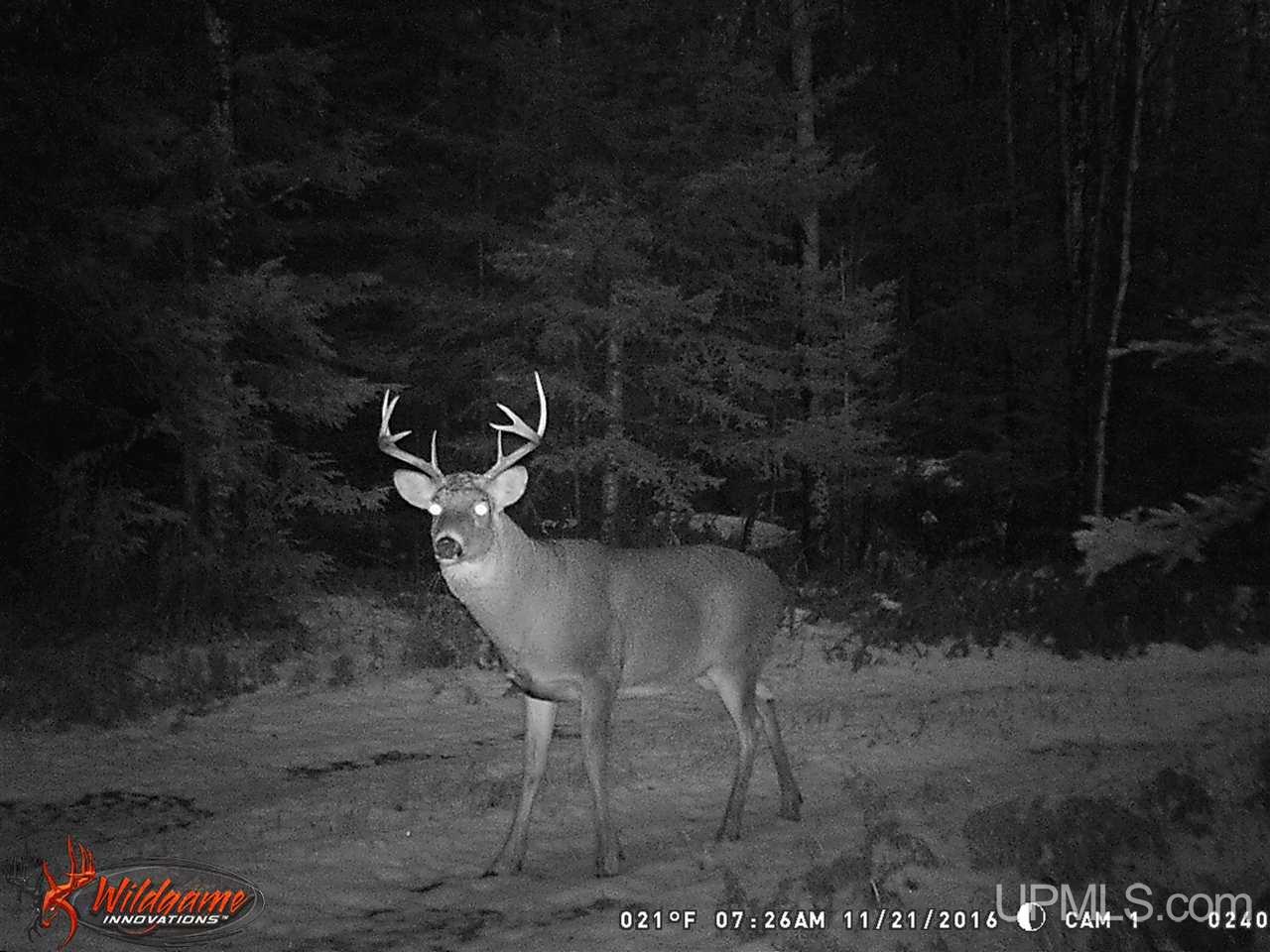 8878 Co Road Republic, MI 49879 - Photo 34 of 34