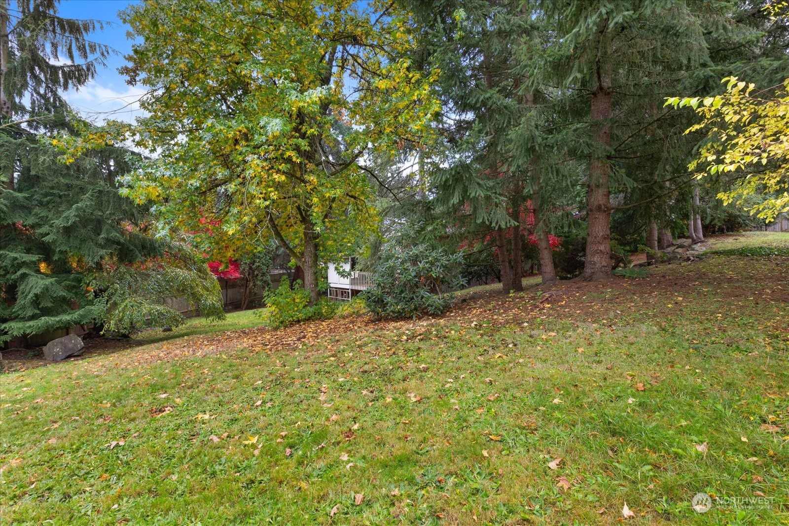 107 219th Place Southeast Bothell, WA 98021 - Photo 37 of 40 a view of a yard with plants and trees
