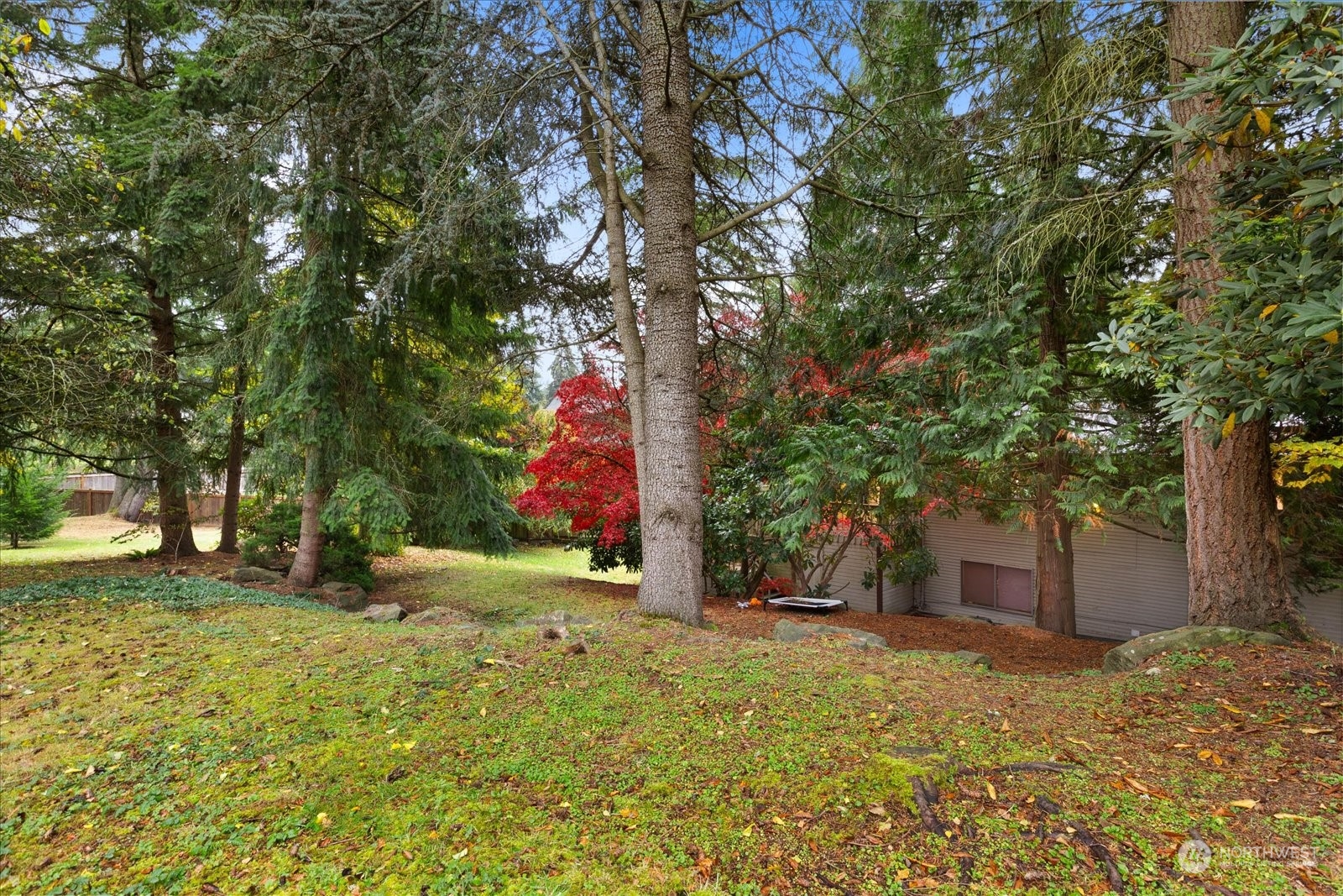 107 219th Place Southeast Bothell, WA 98021 - Photo 38 of 40