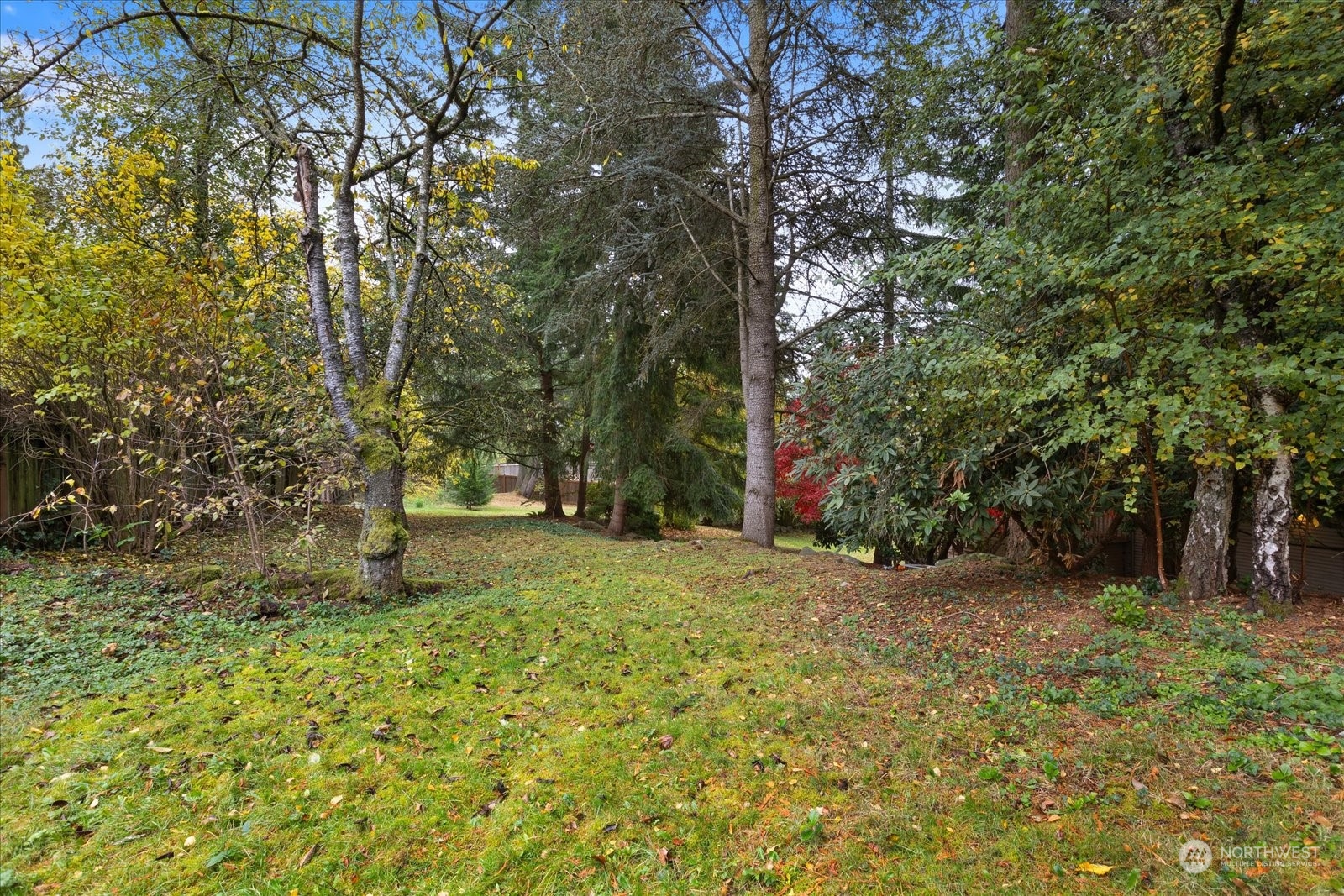 107 219th Place Southeast Bothell, WA 98021 - Photo 39 of 40 a view of backyard with green space