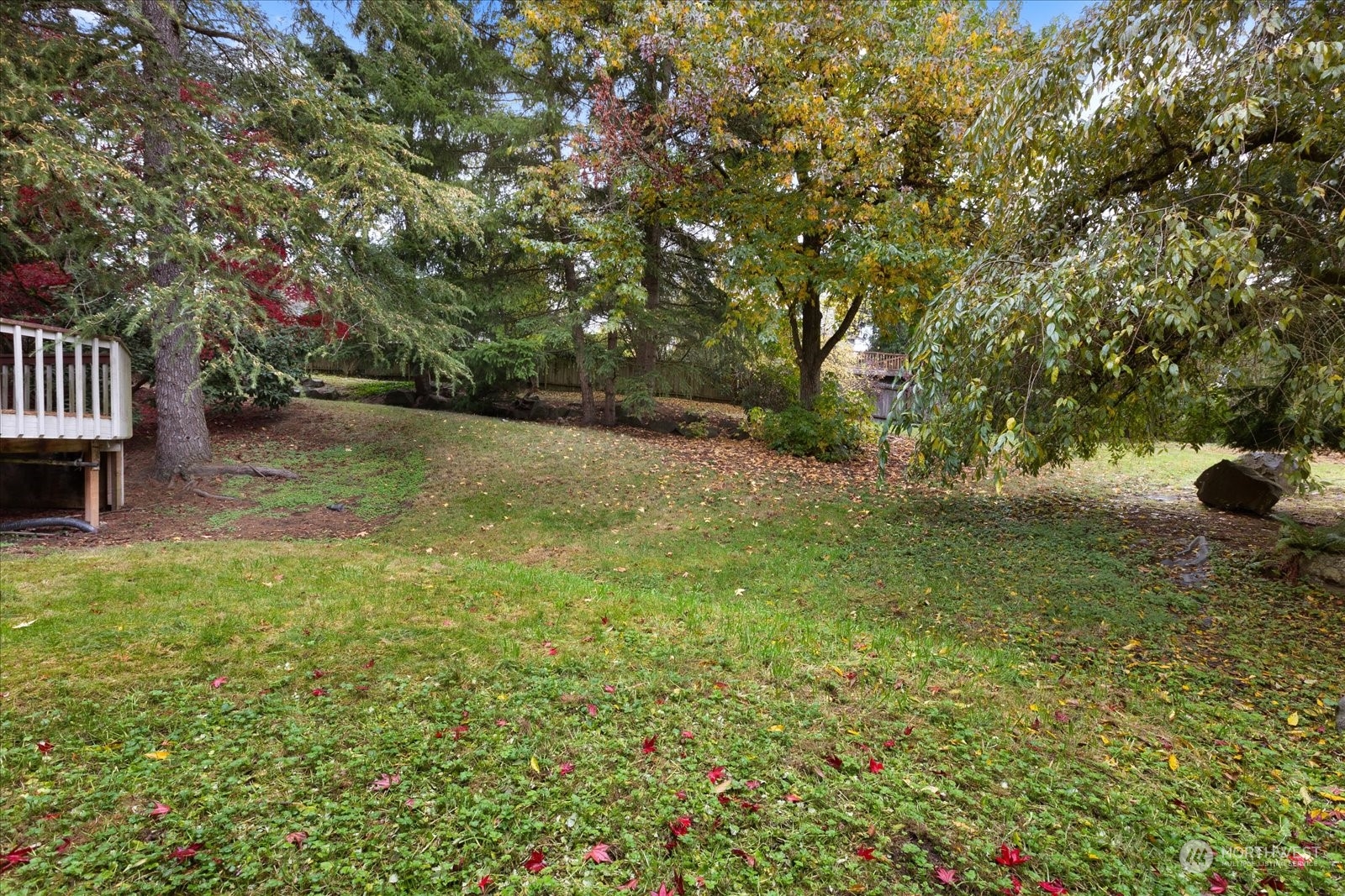 107 219th Place Southeast Bothell, WA 98021 - Photo 4 of 40 a view of a yard with a tree
