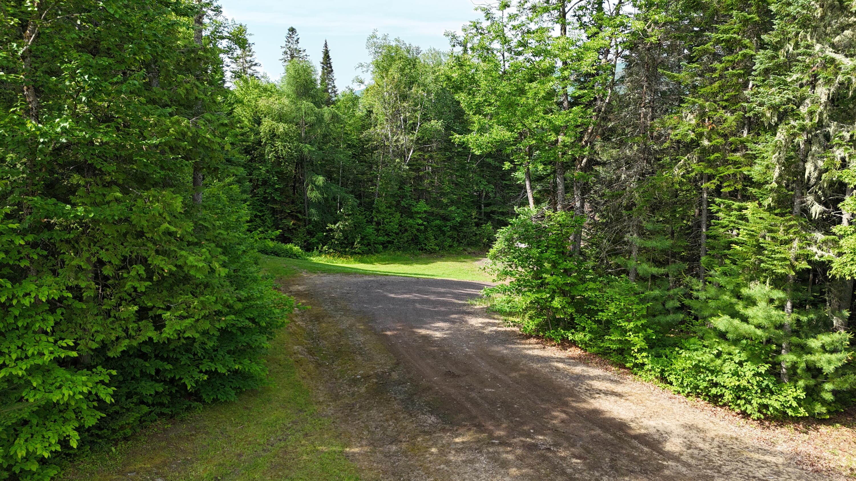 3844 West Chapman Road Chapman, ME 04757 - Photo 12 of 29 DJI_20260703093808_0025_D