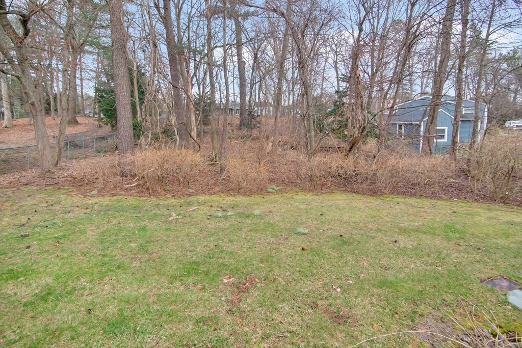 37 Ruthven Street Springfield, MA 01128 - Photo 21 of 24 a view of a yard