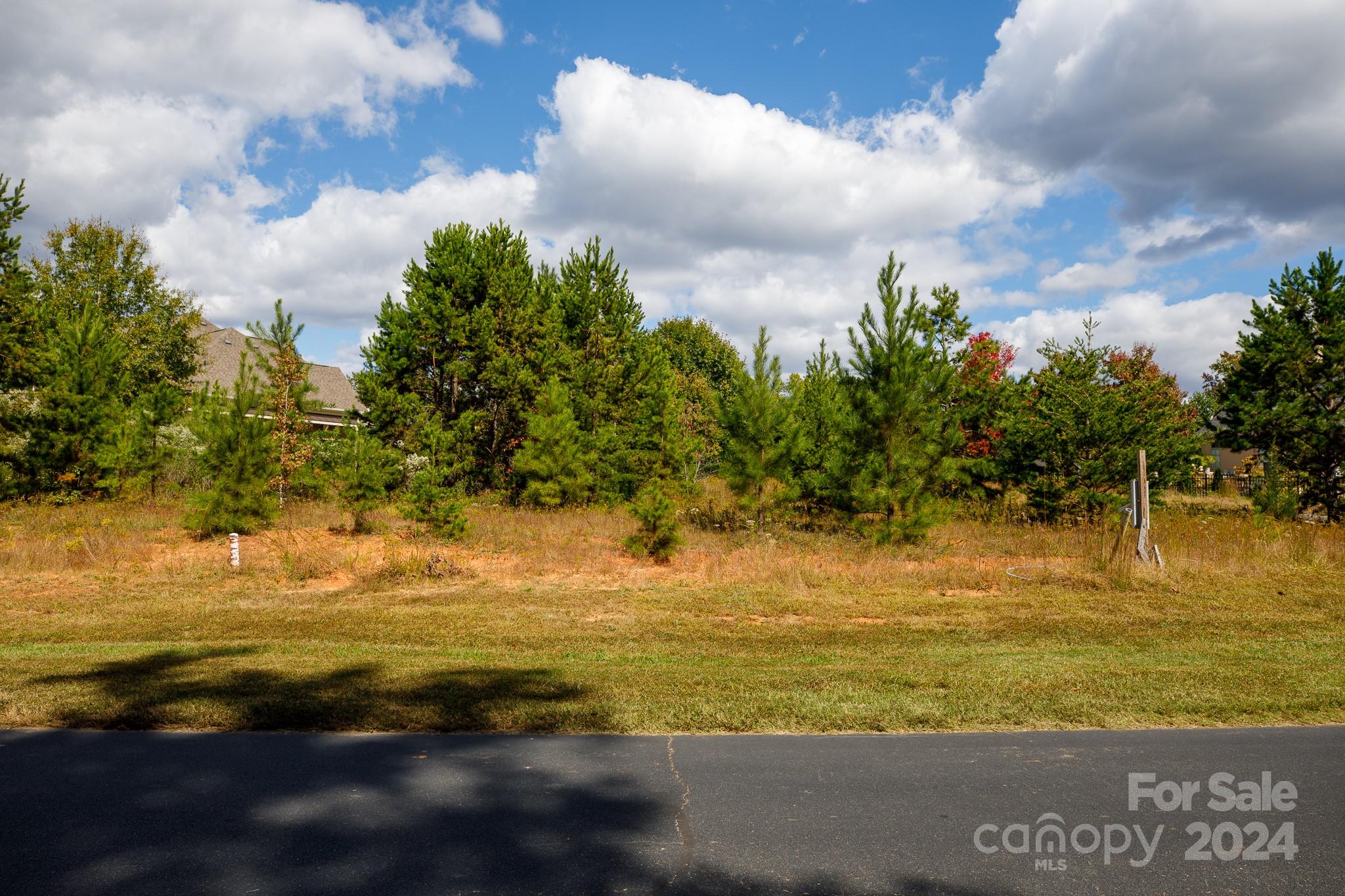 7415 Barrington Ridge Drive Fort Mill, SC 29707 - Photo 3 of 48 Gallery Image 3