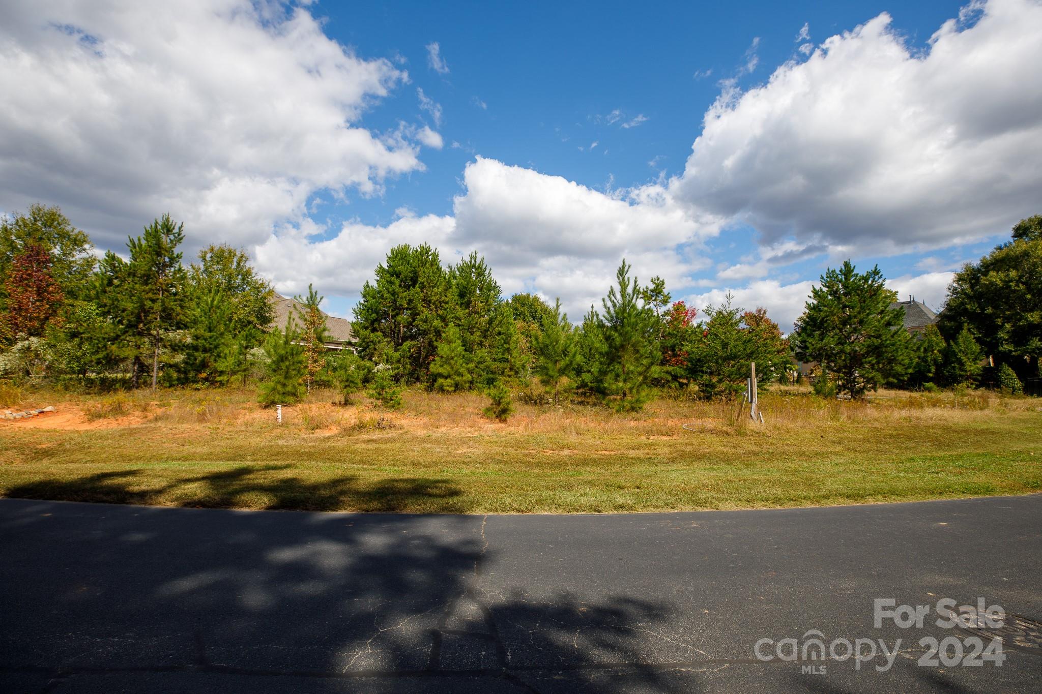 7415 Barrington Ridge Drive Fort Mill, SC 29707 - Photo 4 of 48 Gallery Image 4