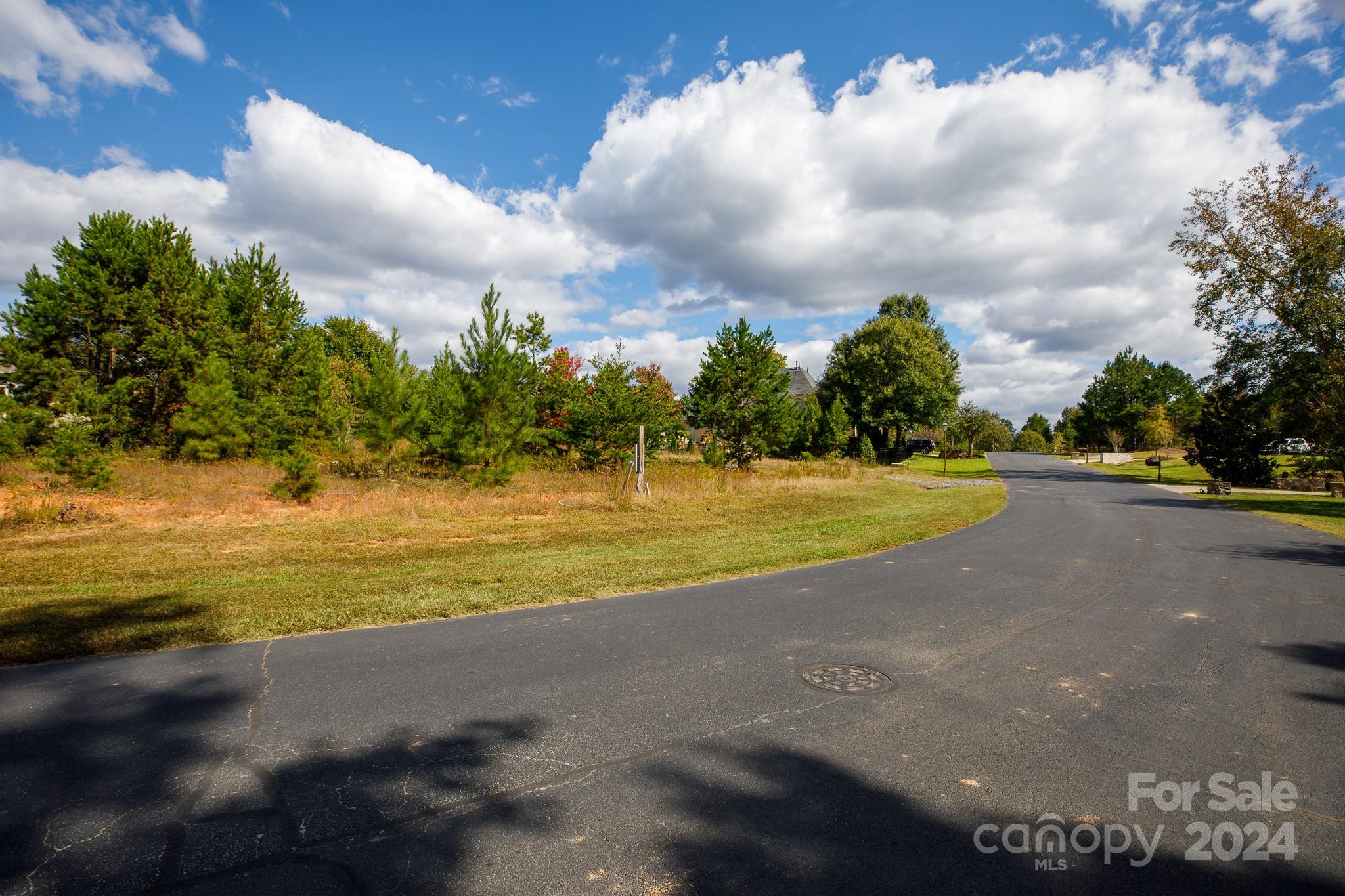 7415 Barrington Ridge Drive Fort Mill, SC 29707 - Photo 5 of 48 Gallery Image 5