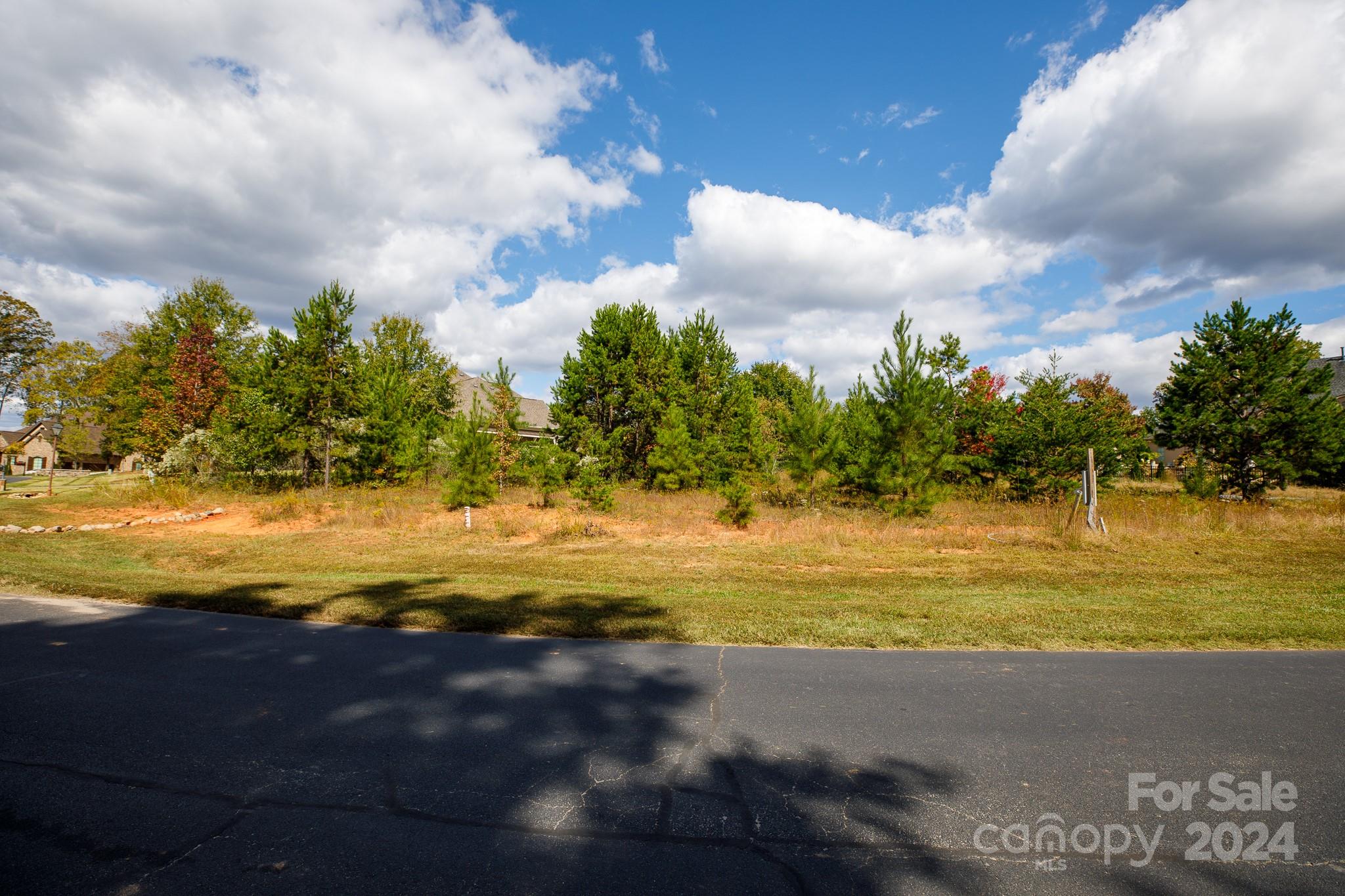 7415 Barrington Ridge Drive Fort Mill, SC 29707 - Photo 6 of 48 Gallery Image 6