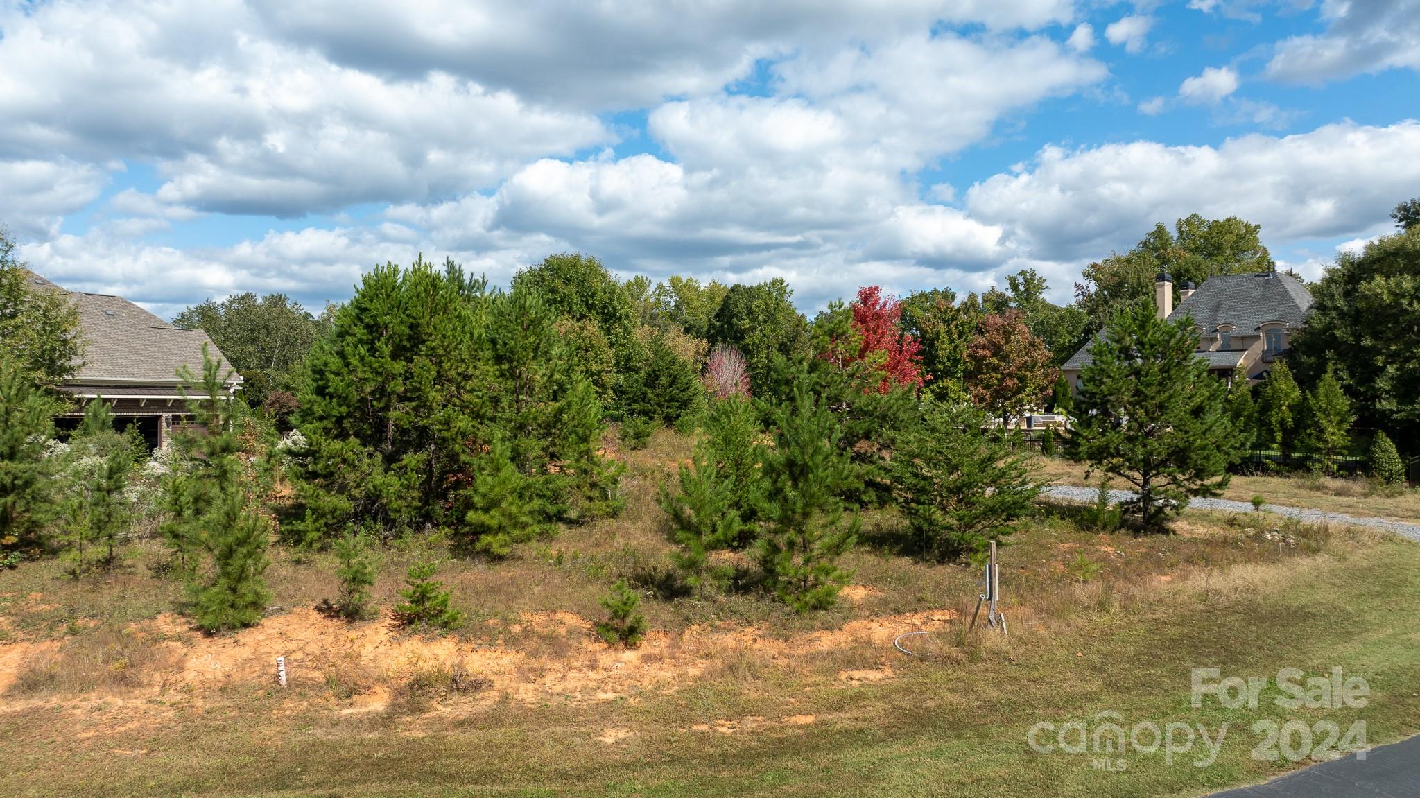 7415 Barrington Ridge Drive Fort Mill, SC 29707 - Photo 7 of 48 Gallery Image 7