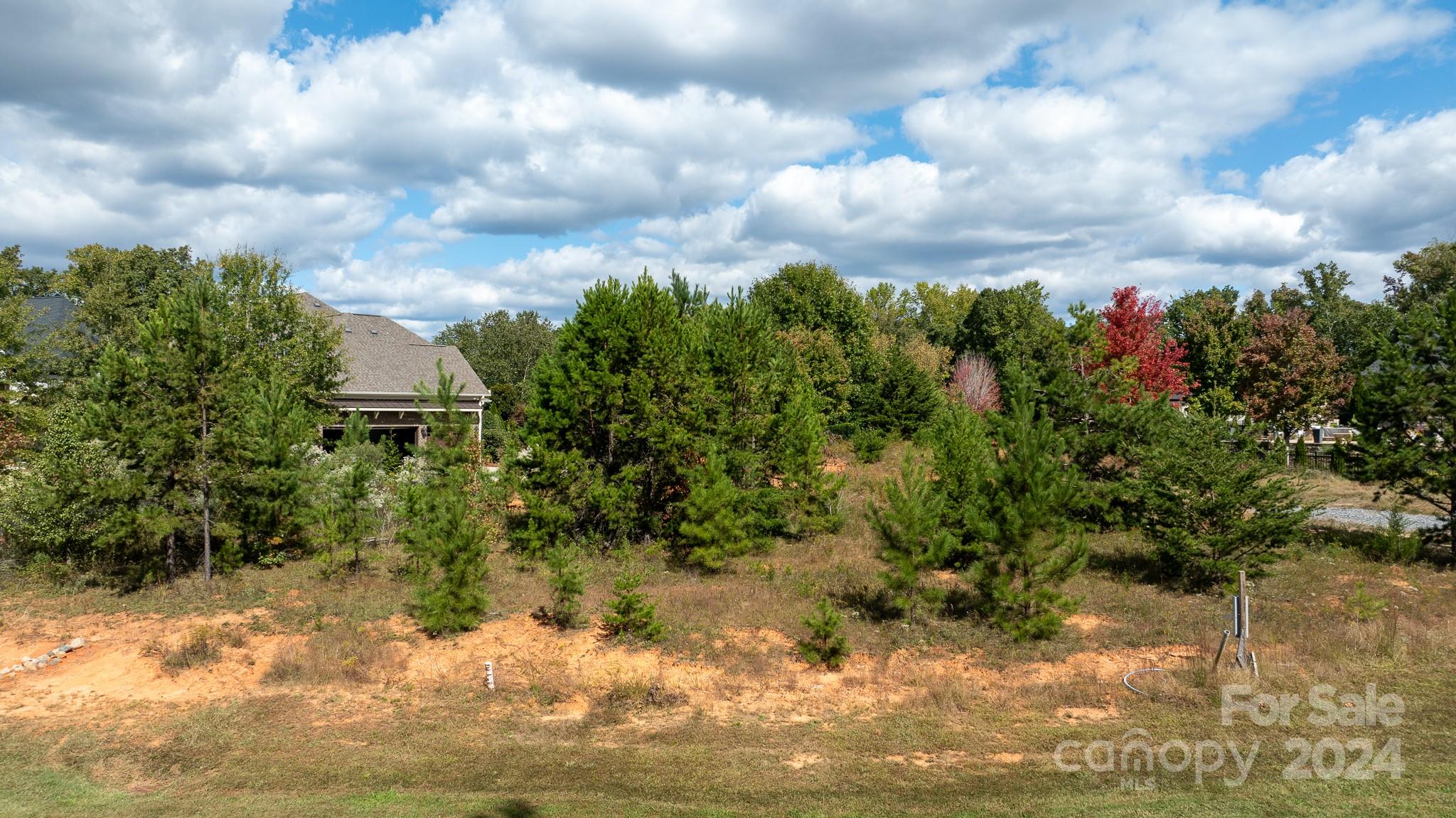 7415 Barrington Ridge Drive Fort Mill, SC 29707 - Photo 8 of 48 Gallery Image 8