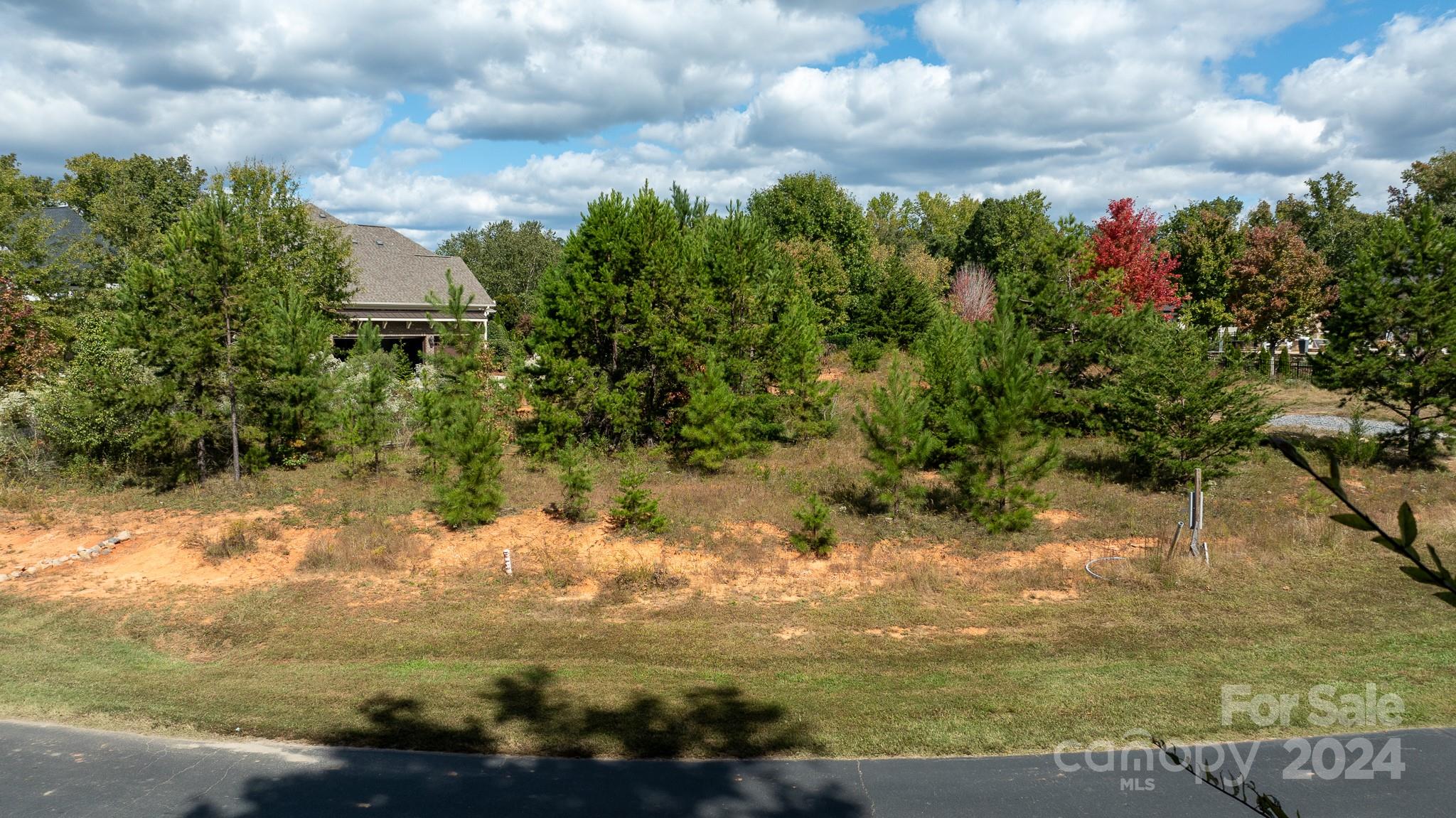 7415 Barrington Ridge Drive Fort Mill, SC 29707 - Photo 9 of 48 Gallery Image 9