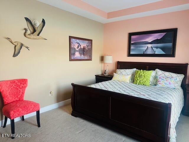 432 Sandpiper Lane Bean Station, TN 37708 - Photo 19 of 58 IMG_9118