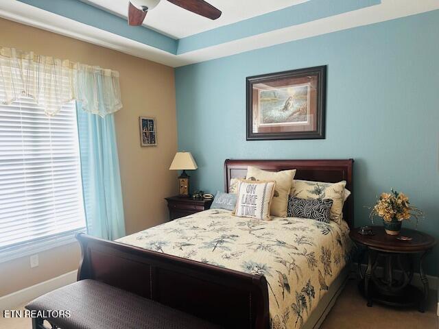 432 Sandpiper Lane Bean Station, TN 37708 - Photo 25 of 58 IMG_9109