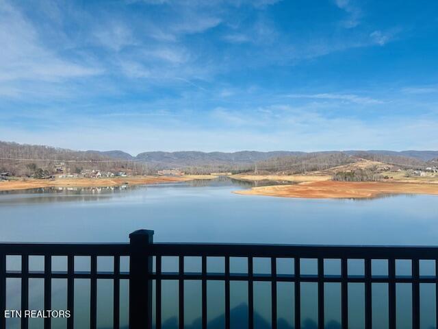 432 Sandpiper Lane Bean Station, TN 37708 - Photo 4 of 58 IMG_9135