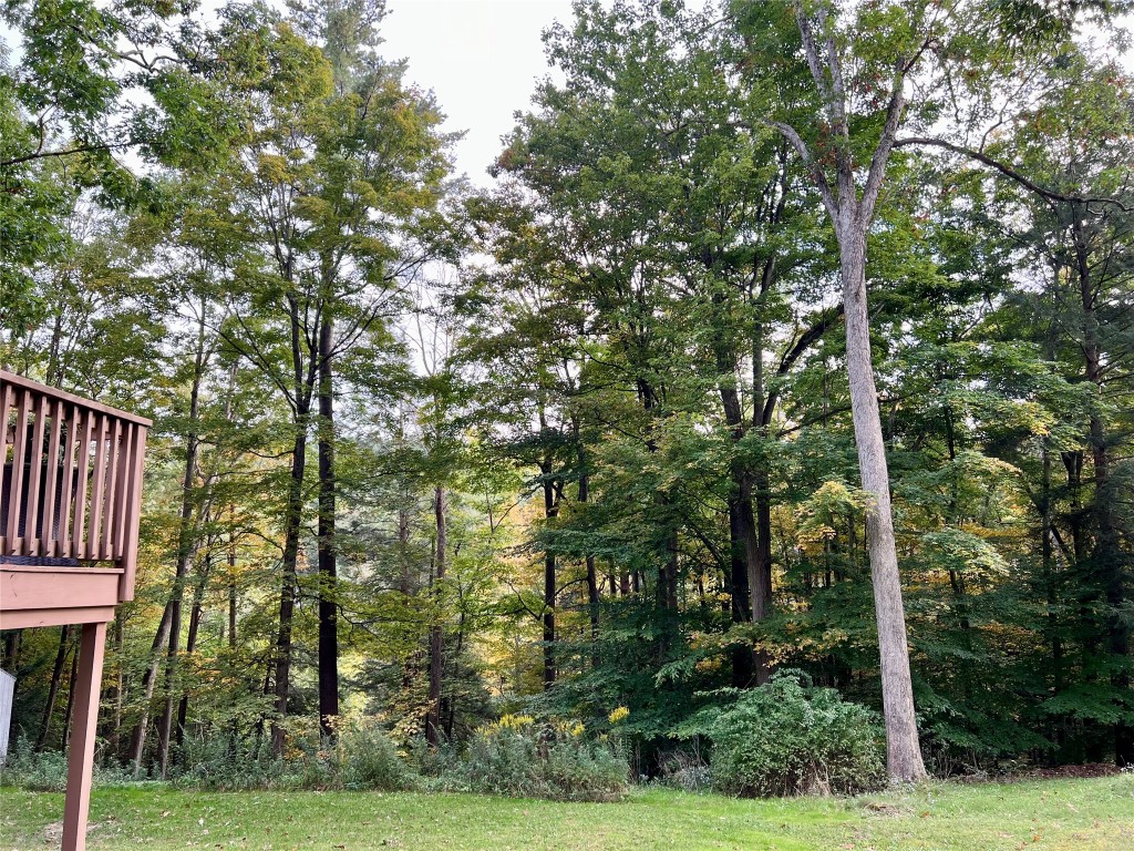 216 Dorman Road Binghamton, NY 13901 - Photo 8 of 20 Gallery Image 8