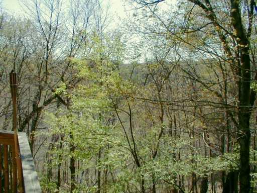1828 Hassam Road Coraopolis, PA 15108 - Photo 7 of 7 Gallery Image 7