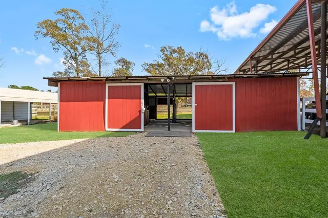a view of a park with large trees